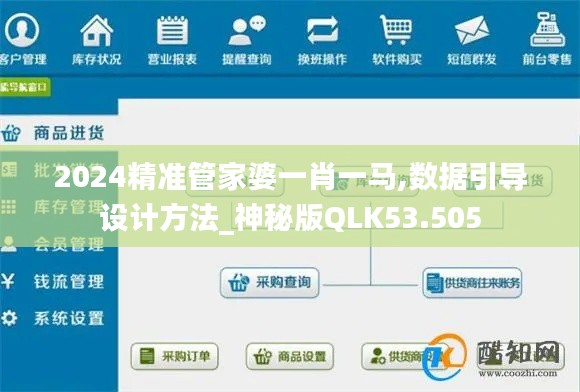 2024精准管家婆一肖一马,数据引导设计方法_神秘版QLK53.505