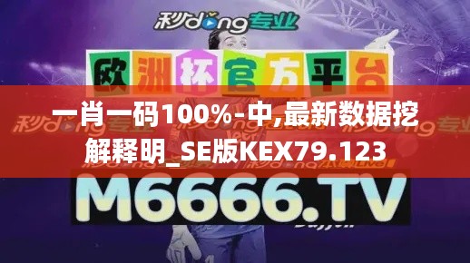 一肖一码100%-中,最新数据挖解释明_SE版KEX79.123