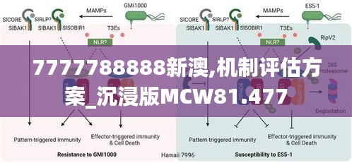 7777788888新澳,机制评估方案_沉浸版MCW81.477