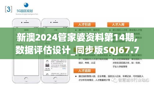 新澳2024管家婆资料第14期,数据评估设计_同步版SQJ67.787