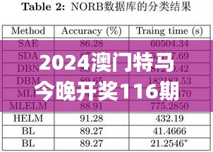 2024澳门特马今晚开奖116期,平衡计划息法策略_复古版YYC90.563