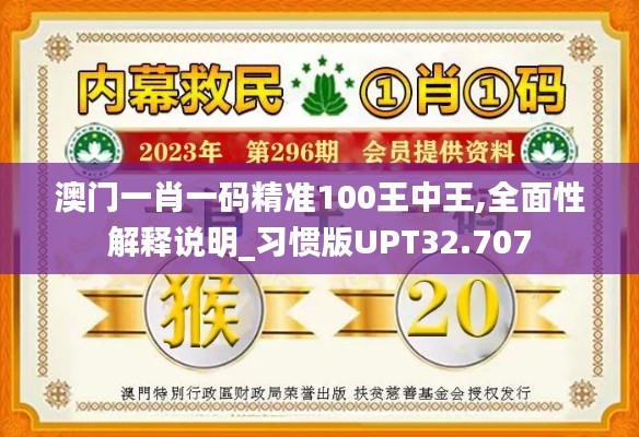 澳门一肖一码精准100王中王,全面性解释说明_习惯版UPT32.707