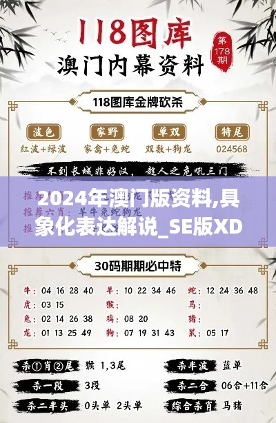 2024年澳门版资料,具象化表达解说_SE版XDJ37.454