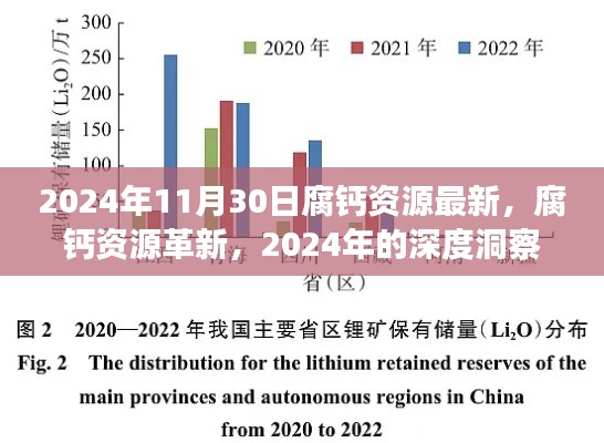 2024年腐钙资源最新动态，革新深度洞察与影响