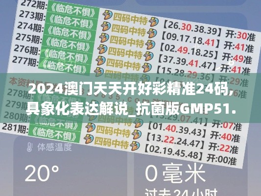 2024澳门天天开好彩精准24码,具象化表达解说_抗菌版GMP51.396