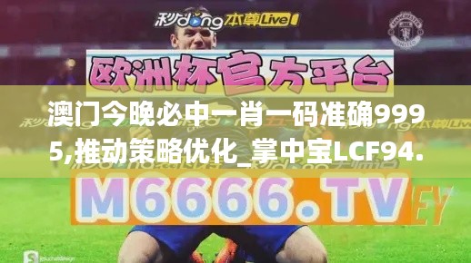 澳门今晚必中一肖一码准确9995,推动策略优化_掌中宝LCF94.184