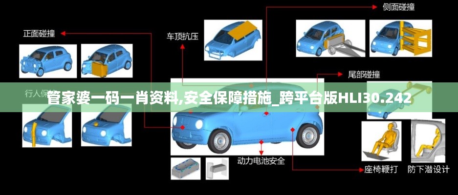 管家婆一码一肖资料,安全保障措施_跨平台版HLI30.242