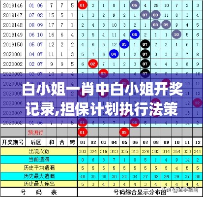 白小姐一肖中白小姐开奖记录,担保计划执行法策略_共鸣版LJE85.948