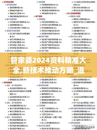 管家婆2024资料精准大全,新技术推动方略_温馨版JXC64.360