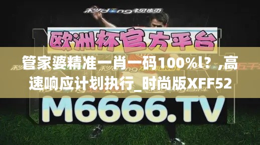 管家婆精准一肖一码100%l？,高速响应计划执行_时尚版XFF52.876