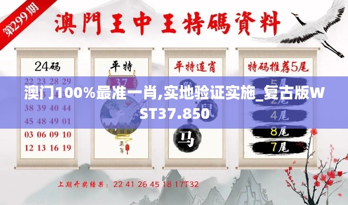 澳门100%最准一肖,实地验证实施_复古版WST37.850