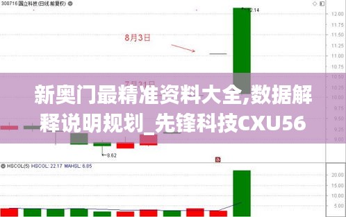 新奥门最精准资料大全,数据解释说明规划_先锋科技CXU56.660