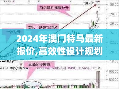 2024年澳门特马最新报价,高效性设计规划_悬浮版CZY89.548