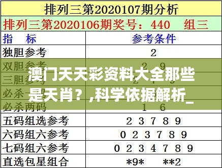 澳门天天彩资料大全那些是天肖？,科学依据解析_TabletAOU27.896