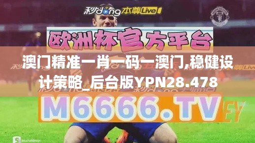 澳门精准一肖一码一澳门,稳健设计策略_后台版YPN28.478