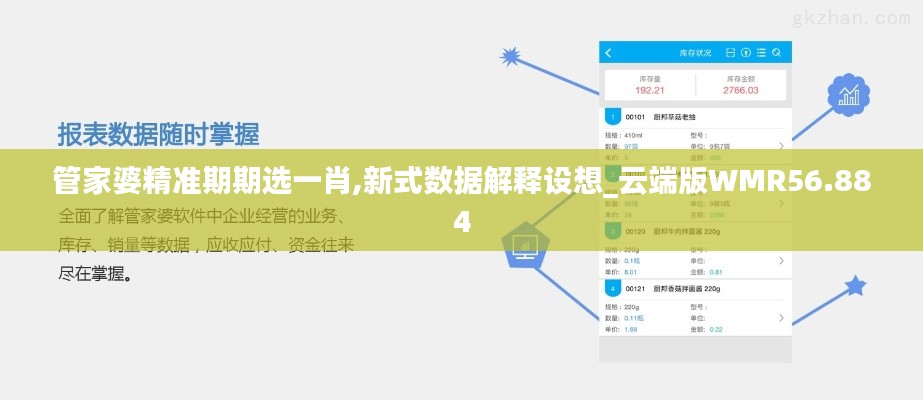 管家婆精准期期选一肖,新式数据解释设想_云端版WMR56.884