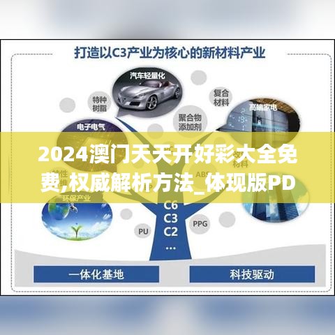 2024澳门天天开好彩大全免费,权威解析方法_体现版PDH92.615