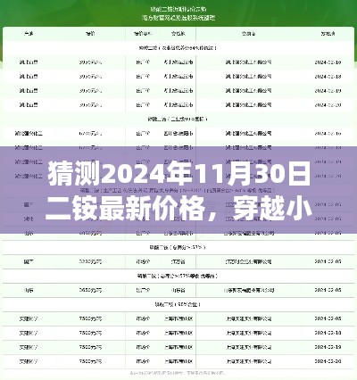 揭秘特色小店背后的二铵价格迷雾，预测之旅至2024年11月30日二铵最新价格展望