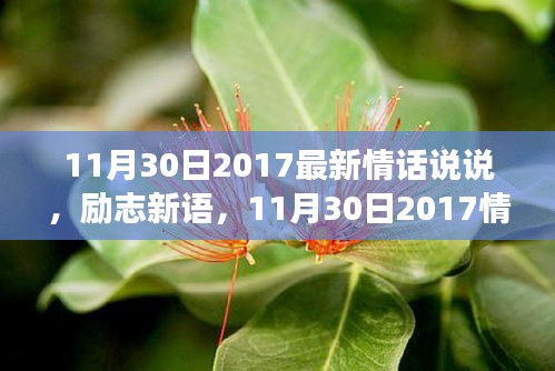 情话背后的力量，励志新语与自信之光的塑造——11月30日最新情说说说分享