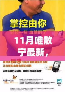 11月唯散宁最新动态，多维度视角深度探讨