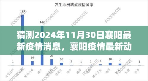 2024年11月30日襄阳疫情猜测与展望，最新动态与未来图景