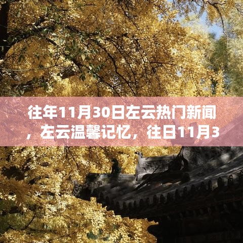 左云秋日温情故事，历年11月30日的新闻与温馨记忆回顾