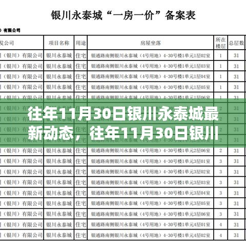 往年11月30日银川永泰城深度解析，特性、体验、竞品对比及用户群体分析报告