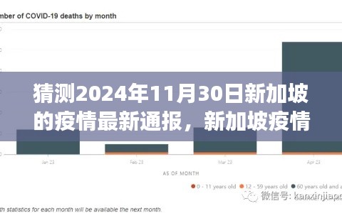 2024年11月30日新加坡疫情最新通报，回顾与展望