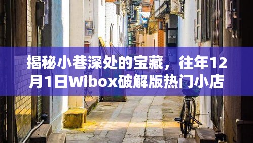 揭秘小巷深处的宝藏，Wibox破解版热门小店探秘背后的犯罪问题揭秘