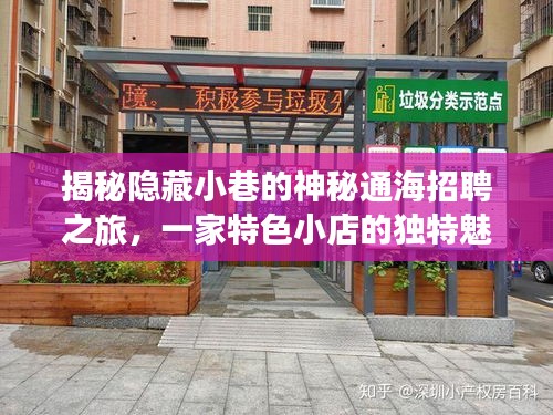 神秘小巷中的通海招聘之旅，揭示特色小店的独特魅力