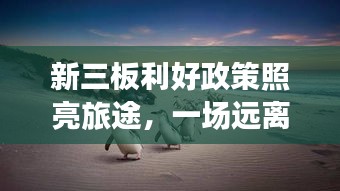 新三板利好政策助力，开启远离尘嚣的自然美景探索之旅