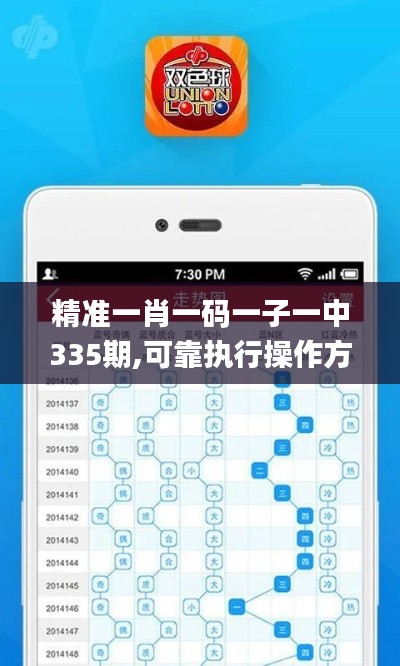 精准一肖一码一子一中335期,可靠执行操作方式_DTM37.279多媒体版
