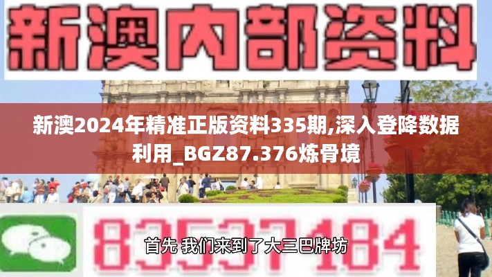 新澳2024年精准正版资料335期,深入登降数据利用_BGZ87.376炼骨境