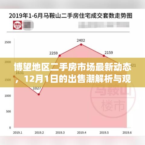 博望地区二手房市场最新动态解析，12月出售潮观点碰撞与市场动态观察