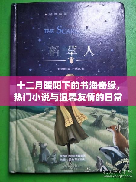 十二月暖阳下的书海奇缘，热门小说与友情的温馨日常