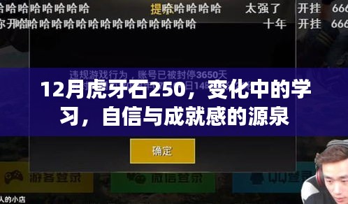 虎牙石学习之旅，自信与成就感的蜕变之源