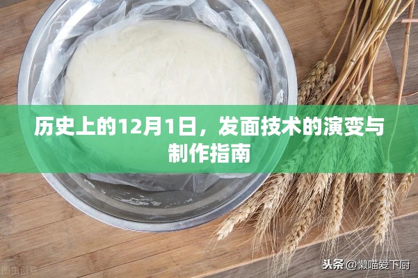 发面技术演变史，历史上的12月1日与制作指南