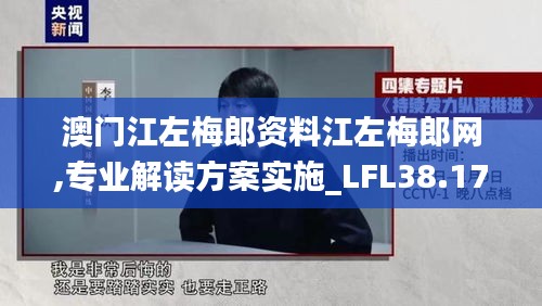 澳门江左梅郎资料江左梅郎网,专业解读方案实施_LFL38.176多功能版