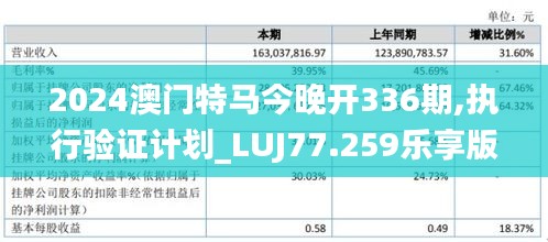 2024澳门特马今晚开336期,执行验证计划_LUJ77.259乐享版