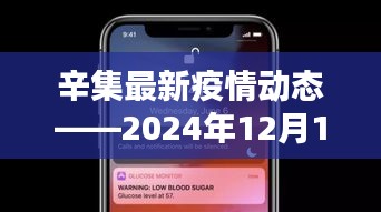 辛集最新疫情动态深度解析，2024年12月1日报告