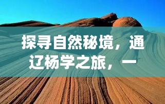 探访自然秘境，通辽杨学之旅的心灵远行