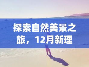 字幕背后的宁静与力量，自然美景探索之旅的12月新理论电影