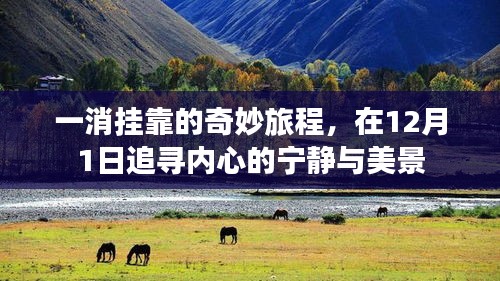 一消挂靠的奇妙旅程，追寻内心宁静与美景的旅程（12月1日）