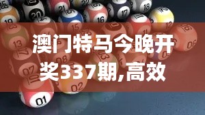 澳门特马今晚开奖337期,高效计划设计实施_VR94.655-2