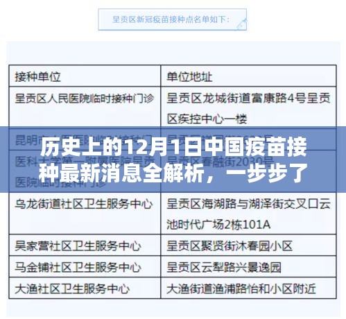 中国疫苗接种最新动态，历史12月1日疫苗接种全解析与流程详解