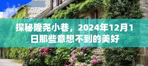 探秘隆尧小巷，2024年12月1日的美好意外之旅