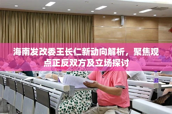 海南发改委王长仁新动向深度解析，正反双方观点与立场探讨