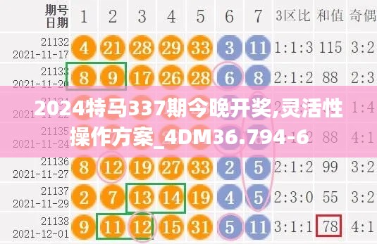 2024特马337期今晚开奖,灵活性操作方案_4DM36.794-6