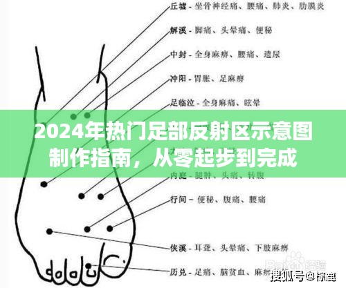 从零起步制作足部反射区示意图，2024年热门指南