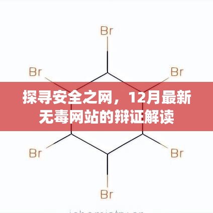 探寻安全之网，12月最新无毒网站的辩证解读